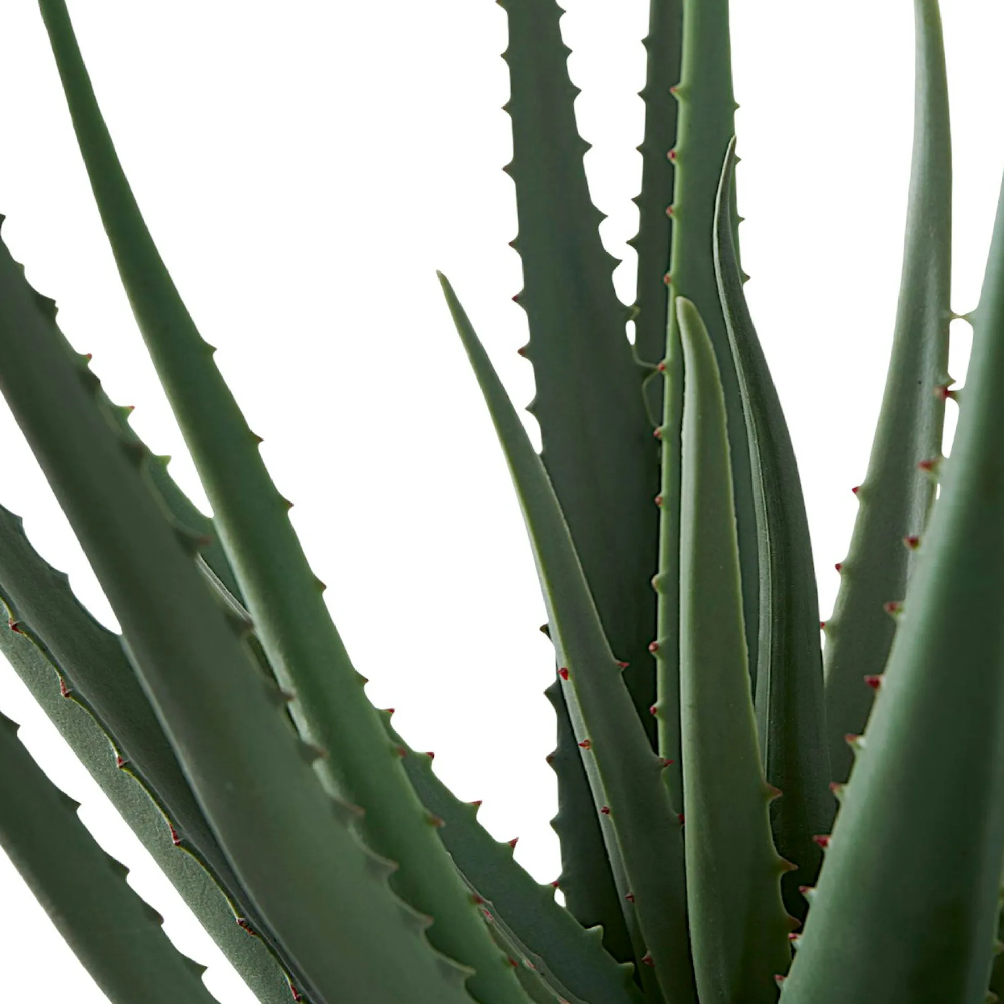 Aloe vera artificiel en pot