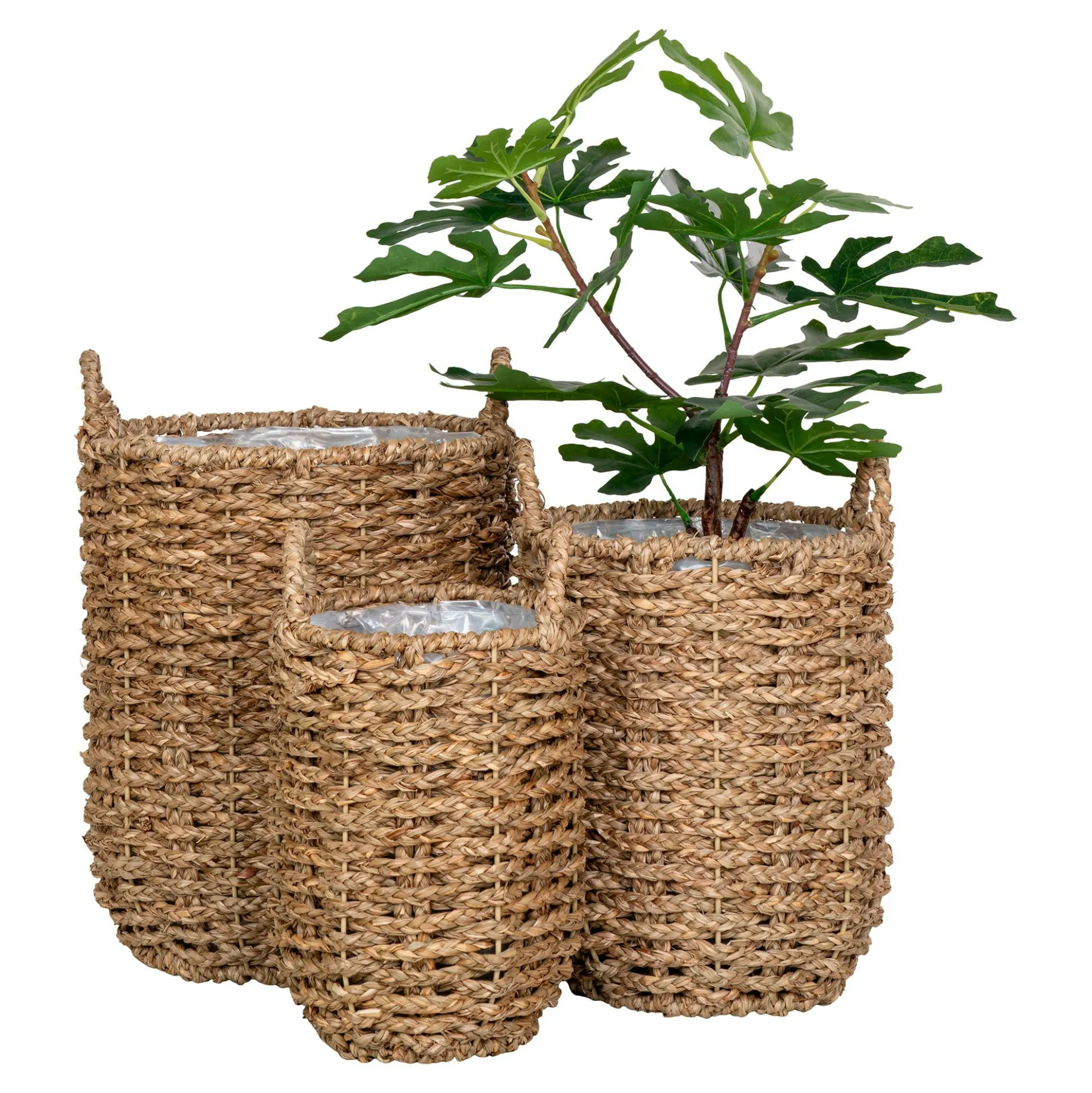 Cache-pot en jonc de mer avec anses (lot de 3)