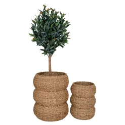 Cache-pot en jonc de mer pour grandes plantes, forme ronde (lot de 2)