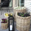 Cache-pot en rotin, fines tiges (lot de 4)