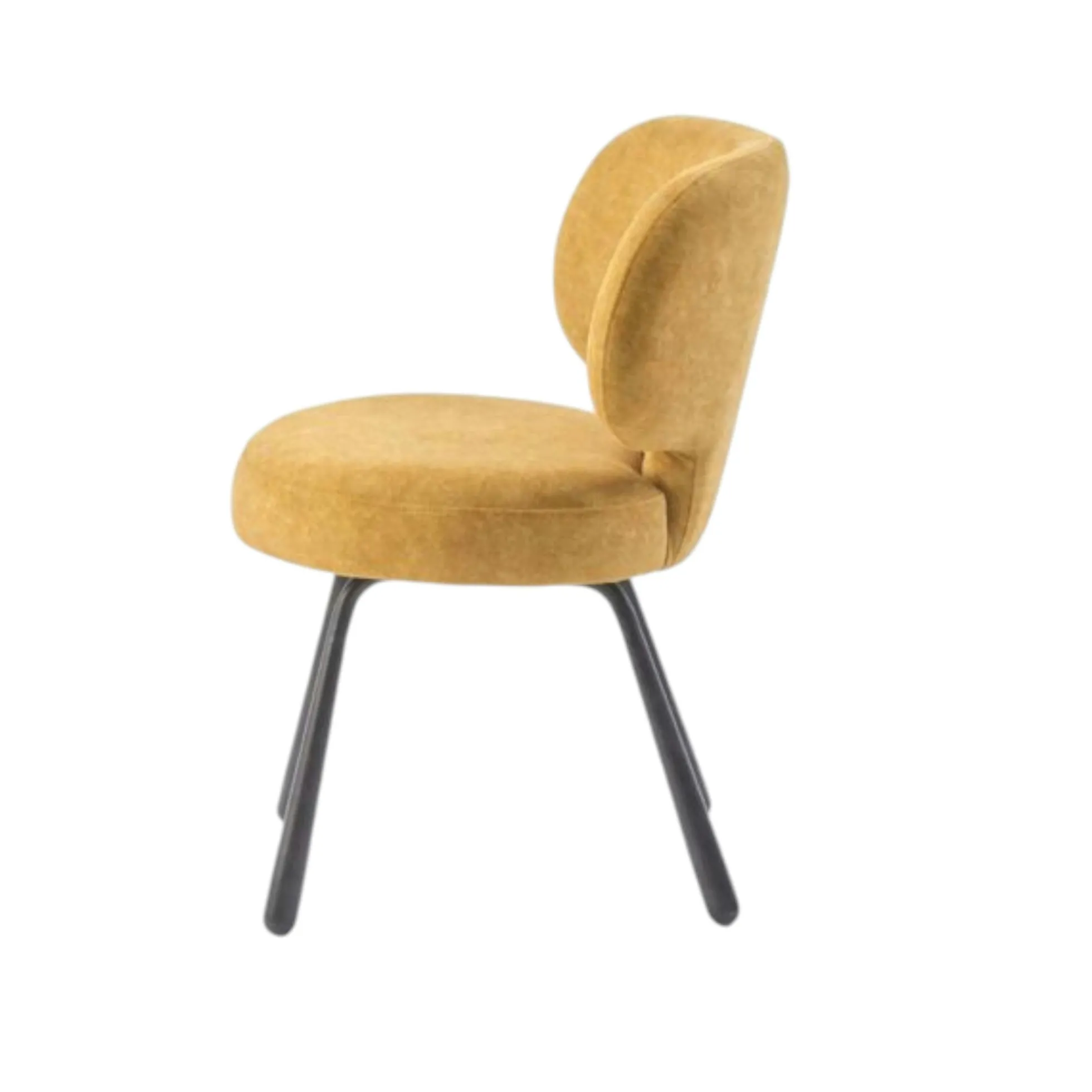 Chaise de salle à manger moutarde, assise ronde (lot de 2) LIGURIE