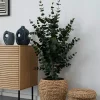 Eucalyptus artificiel en pot