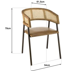 Fauteuil rotin et cuir havane dossier arrondi (lot de 2) TIM