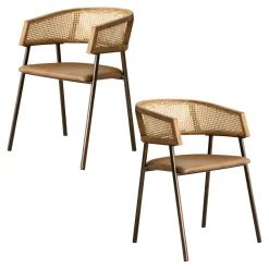 Fauteuil rotin et cuir havane dossier arrondi (lot de 2) TIM