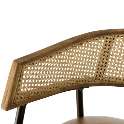 Fauteuil rotin et cuir havane dossier arrondi (lot de 2) TIM