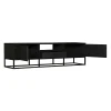 Meuble TV bois noir 2 portes motif chevron ALVERA
