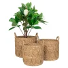 Panier cache-pot en jonc de mer avec motif losange (lot de 3)