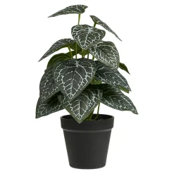 Plante artificielle anthurium en pot