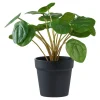 Plante artificielle pelia en pot
