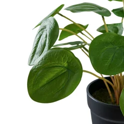 Plante artificielle pelia en pot