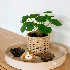 Plante artificielle pelia en pot