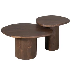 Table basse design organique en bois foncé (lot de 2) ALMA