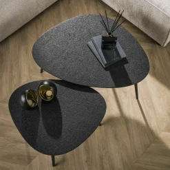 Table basse design organique grise (2 pièces) RALF
