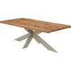 Table extensible bois brun bords droits pied grège fin 200 cm PALERME