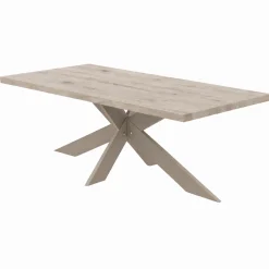 Table extensible bois grisé bords droits pied grège fin 220 cm PALERME
