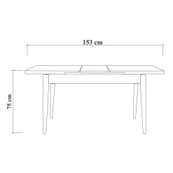 Table extensible noire plateau effet bois 120-153 cm ARDEN
