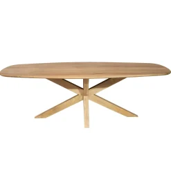 Table à manger ovale organique à pied central 210 cm NERO