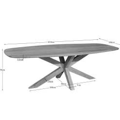 Table à manger ovale organique à pied central 210 cm NERO
