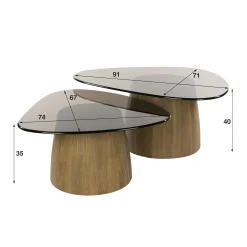 Tables salon verre fumé design triangle (lot de 2) MILOS