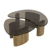 Tables salon verre fumé, design organique (lot de 2) MILOS