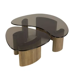 Tables salon verre fumé, design organique (lot de 2) MILOS