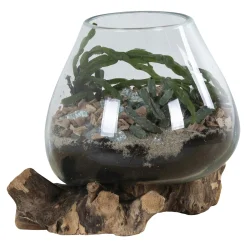 Vase verre soufflé et racine teck, artisanal H 20 cm ARIZONA